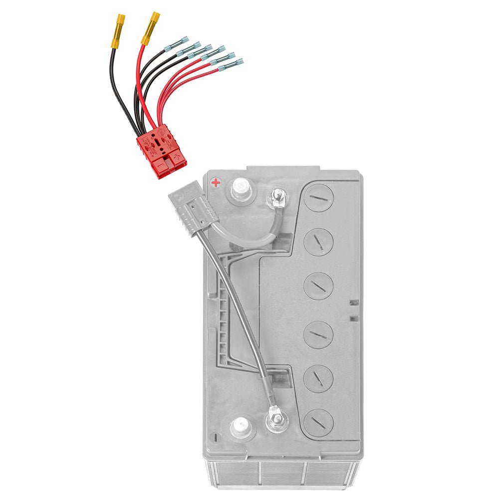 Connect - Ease Multi 4 Lead Accessory f/Main Battery [RCE12VB4] - The Happy Skipper